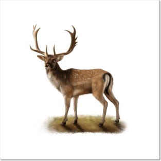 Deer Posters and Art